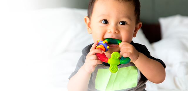 Подборка игрушек-зубогрызок для малыша